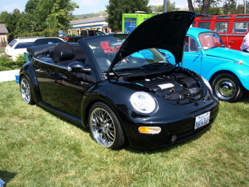 CONEJO VALLEY DAYS SHOW 184