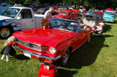 Henefins Mustang