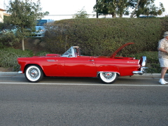 GOLETA CLASSIC SHOW 050