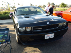 GOLETA CLASSIC SHOW 052