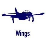 wings