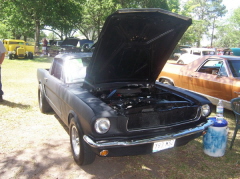 stang pickup