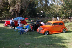 Picnic at the grove Lodi 101