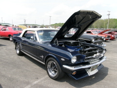 Car Show MUSCLEPALOOZA 9  5-30-09 006 (140)