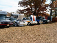 Pumpkin Run 082