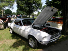 Car Show East Coast Nats Rhinebeck 6-28-09 076