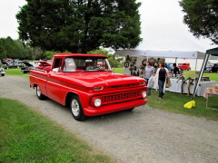 17th annual charity picnic (49)