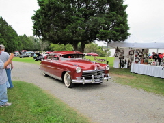 17th annual charity picnic (71)