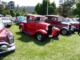 BRIGHT ROD RUN, NOVEMBER, 2011 095