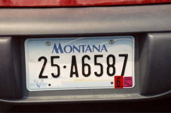 Montana plate!
