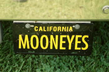 Mooneyes!