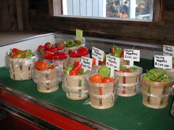 Altamont Orchard 10-13-07 (95)