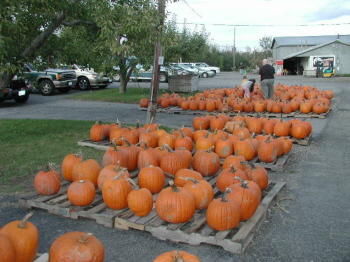 Altamont Orchard 10-13-07 (98)