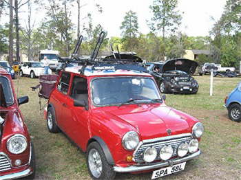 mini36