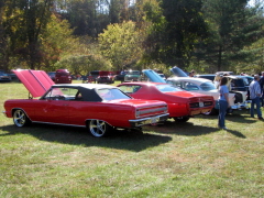 Beautiful 64 Chevelle Ragtop