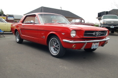 Gene Horn 64 12 Mustang