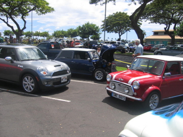 13- Mini's , old and#2A9B13