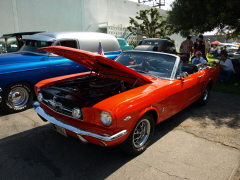 NSRA DAY 2009 032