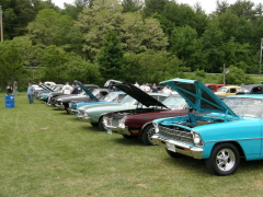 Car Show Capital Area Rods 6-7-09 059