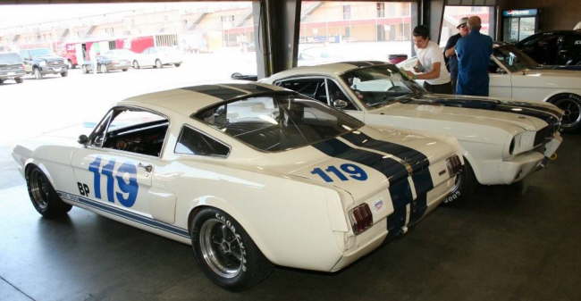 tripple-stang-gt-350-HSR-AAA-JD1 289