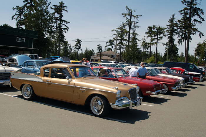 lots of Studebakers