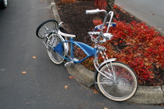 two wheeled custom