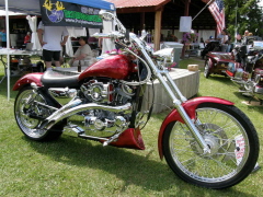 Car Show Doug & Leigh's 'Ride for Kids' Car & Bike Show 6-13-09 013