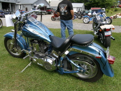 Car Show Doug & Leigh's 'Ride for Kids' Car & Bike Show 6-13-09 022