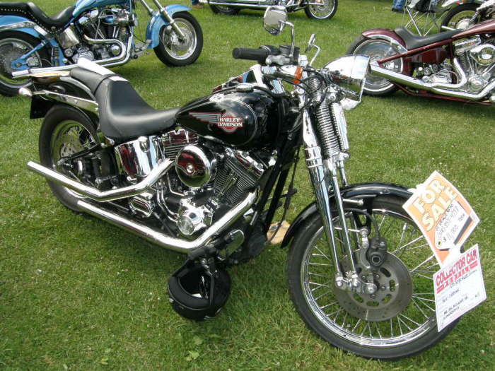 Car Show Doug & Leigh's 'Ride for Kids' Car & Bike Show 6-13-09 023