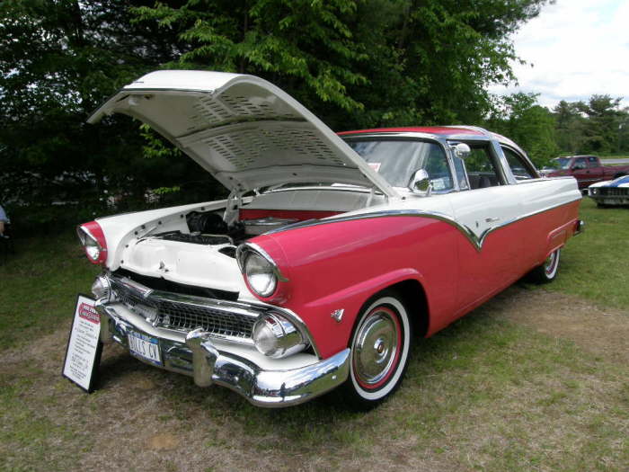 Car Show Doug & Leigh's 'Ride for Kids' Car & Bike Show 6-13-09 043