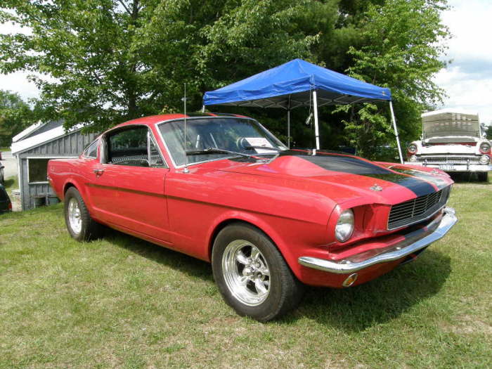 Car Show Doug & Leigh's 'Ride for Kids' Car & Bike Show 6-13-09 046