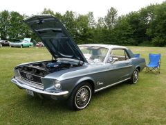 Car Show Doug & Leigh's 'Ride for Kids' Car & Bike Show 6-13-09 065