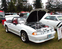 087Mustang91White