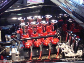 SEMA 2010 004