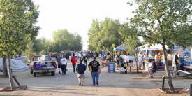 The famous, quarter mile long, Famoso Grove.