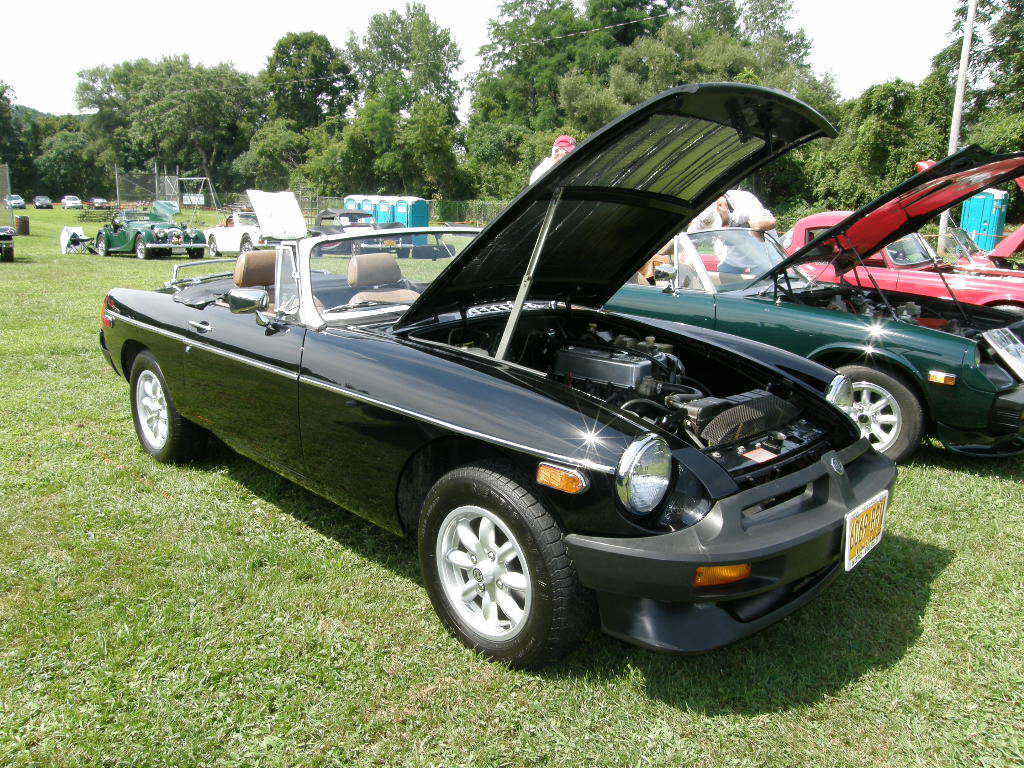 Car Show Minaville VFD 08-13-11 056