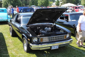 Norwich Carshow 2011 079