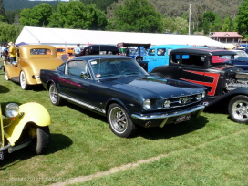 BRIGHT ROD RUN, NOVEMBER, 2011 085