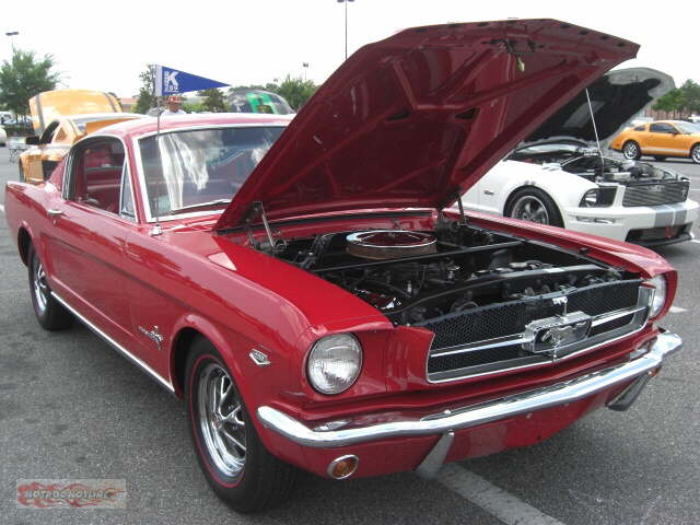 JAX MUSTANG (72)