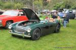  San Francisco Old Car Picnic6