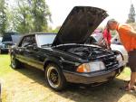 10th Annual Valley Mustang Car Show 23