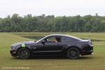 17th Annual Mustangs and Mustangs-Mustang Car and Airplane Show2