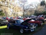 19th Annual Mustang Roundup at Silver Springs Theme Park 48
