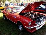 19th Annual Mustang Roundup at Silver Springs Theme Park 50