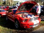 19th Annual Mustang Roundup at Silver Springs Theme Park 61