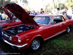 19th Annual Mustang Roundup at Silver Springs Theme Park 65