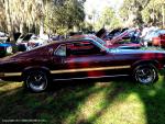 19th Annual Mustang Roundup at Silver Springs Theme Park 74