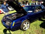 19th Annual Mustang Roundup at Silver Springs Theme Park 78