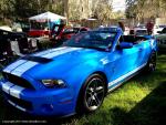 19th Annual Mustang Roundup at Silver Springs Theme Park 88