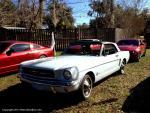 19th Annual Mustang Roundup at Silver Springs Theme Park 92